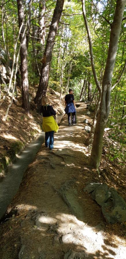 Langstein Bio Urlaub & Genuss Villa โกลดราโน ภายนอก รูปภาพ